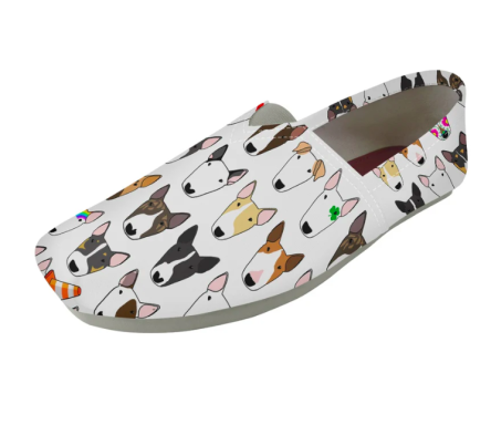 Canvas Shoe